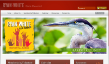 The Care Council